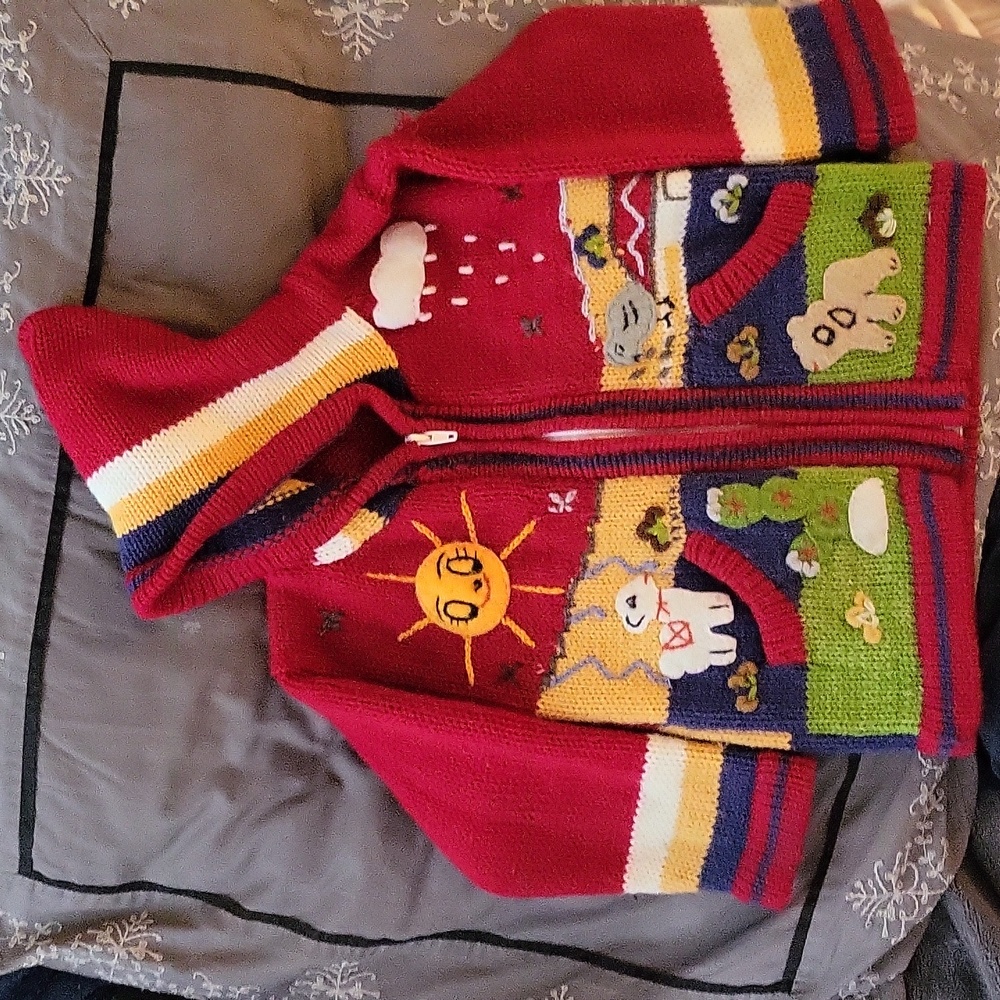 Sweater- Handmade in Peru Kid's- Alpaca Zip up Unisex hoodie with Pockets - Picture 1 of 7